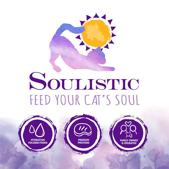 Wet Cat Food R14027
