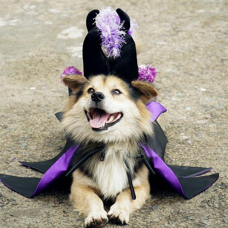 Pet Vampire Costume with Bat Wing Cape and Witch Hat K73978