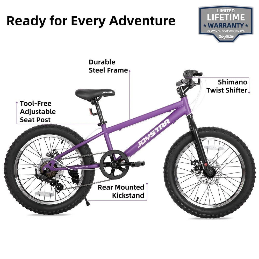 20 Inch 7 Speed Disc Brakes Fat Tire Kids Mountain Bike V35907
