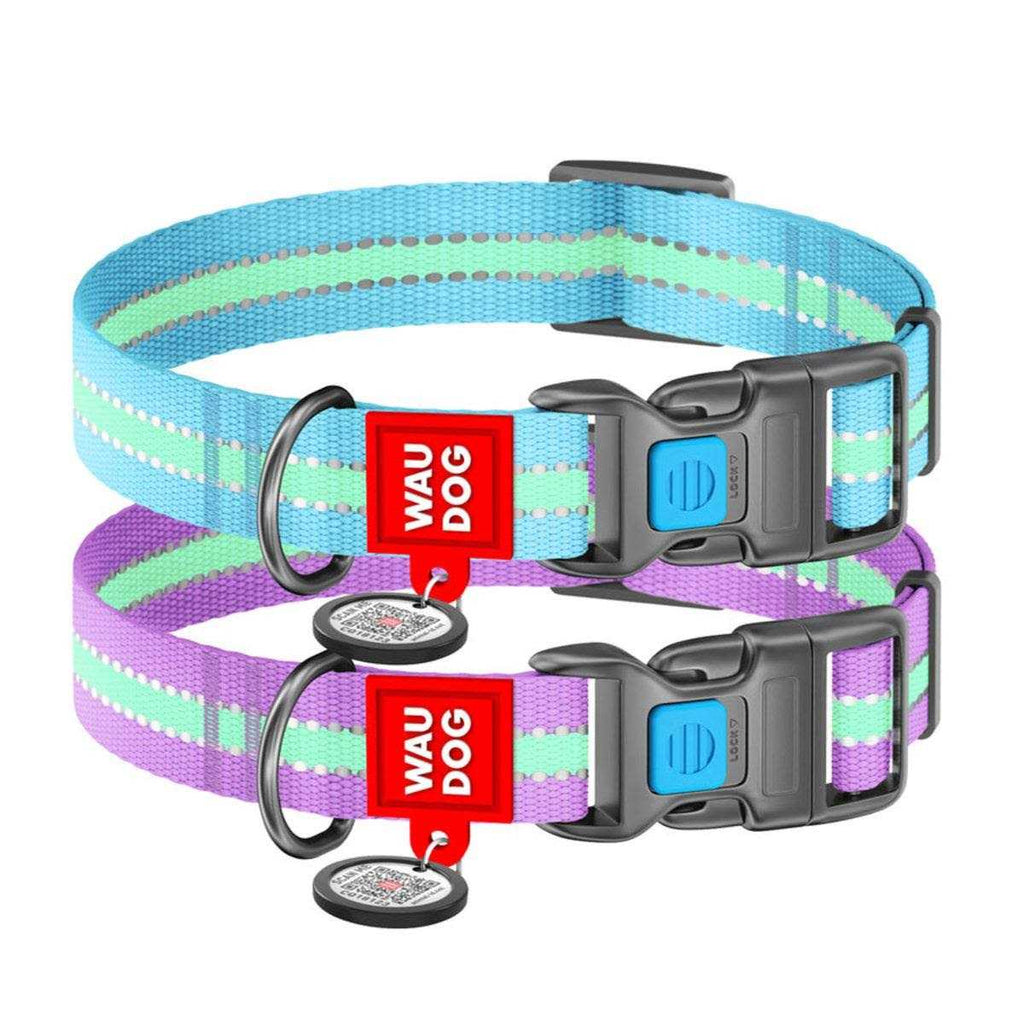 Glow in the Dark Nylon Dog Collar Blue O914586