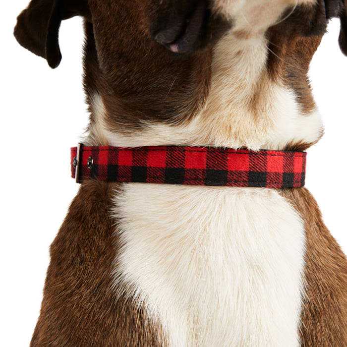 Buffalo Checkered Dog Collar I569