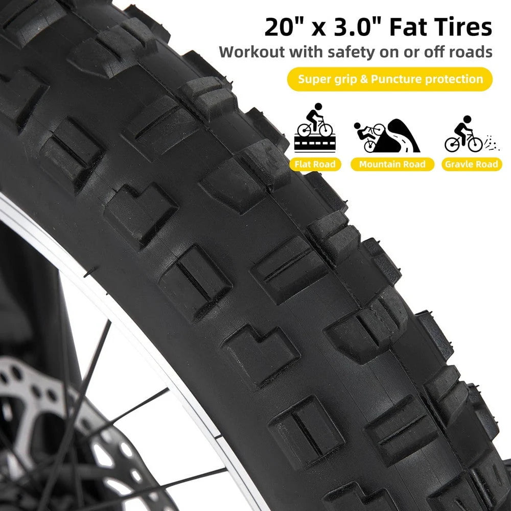 20 Inch 7 Speed Disc Brakes Fat Tire Kids Mountain Bike V35907