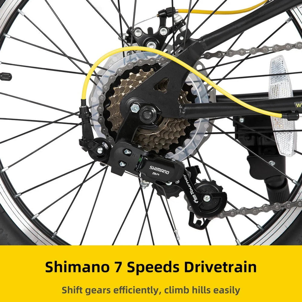 20 Inch 7 Speed Disc Brakes Fat Tire Kids Mountain Bike V35907