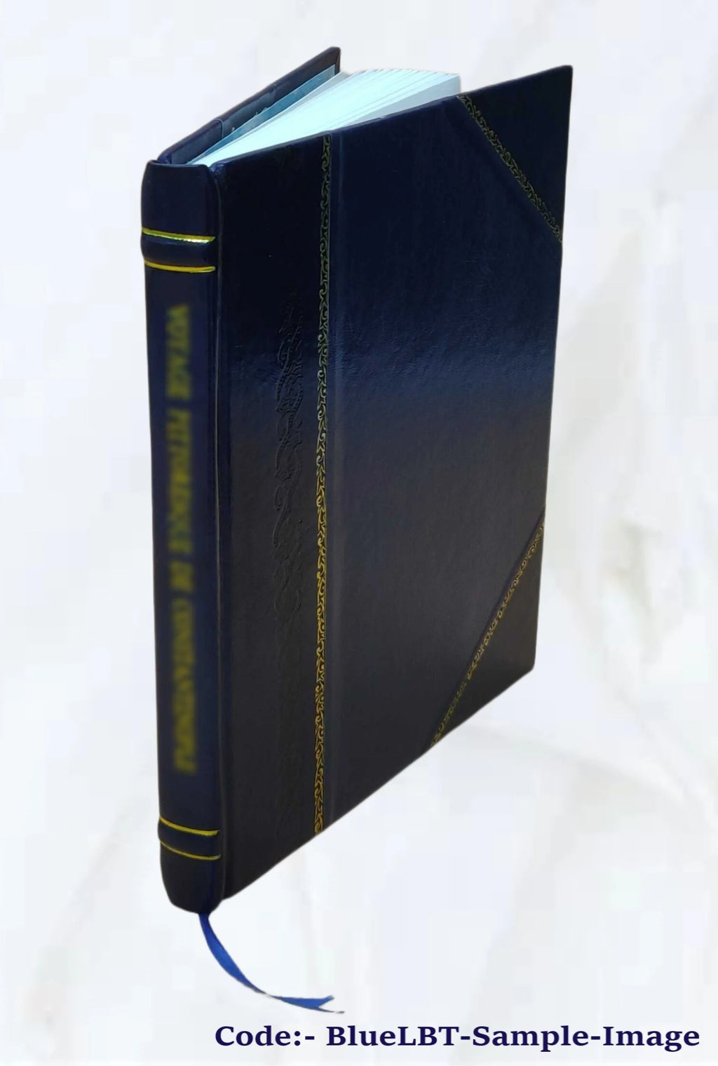 Mathematical essays and recreations X99105