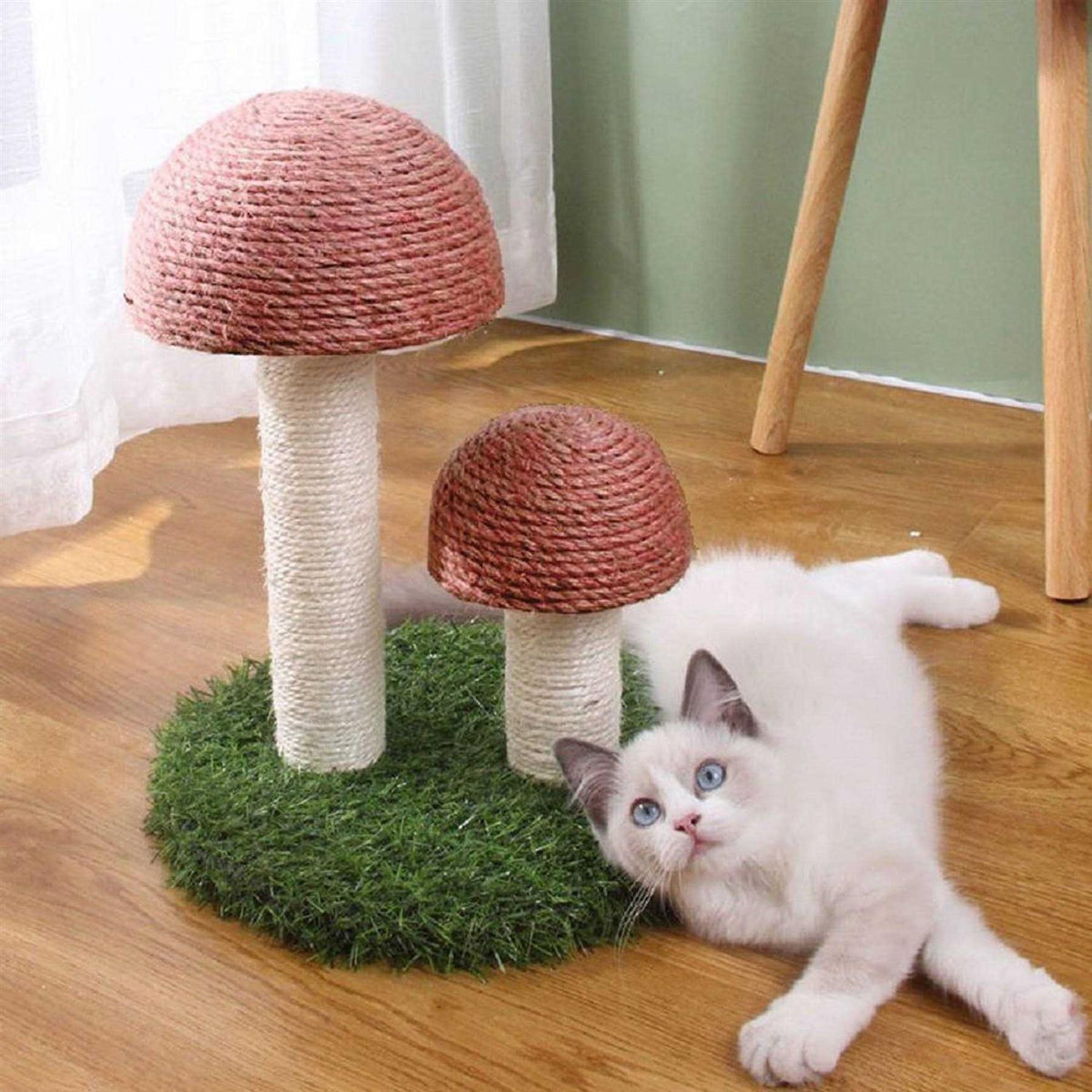 Mushroom Cat Scratcher O927