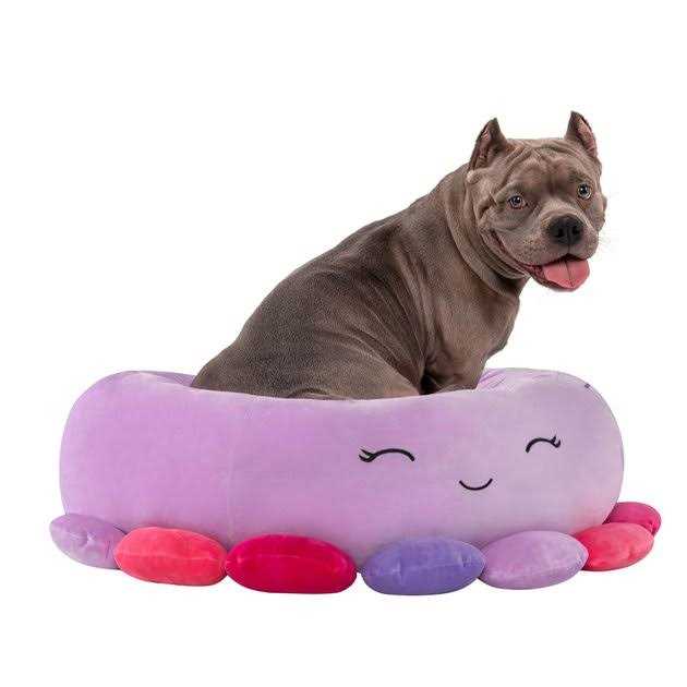 Squishmallows Octopus Pet Bed K92332