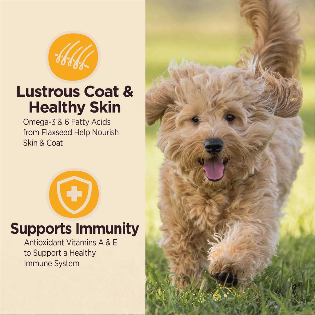 Digestive Health Dry Dog Puppy Food V7456