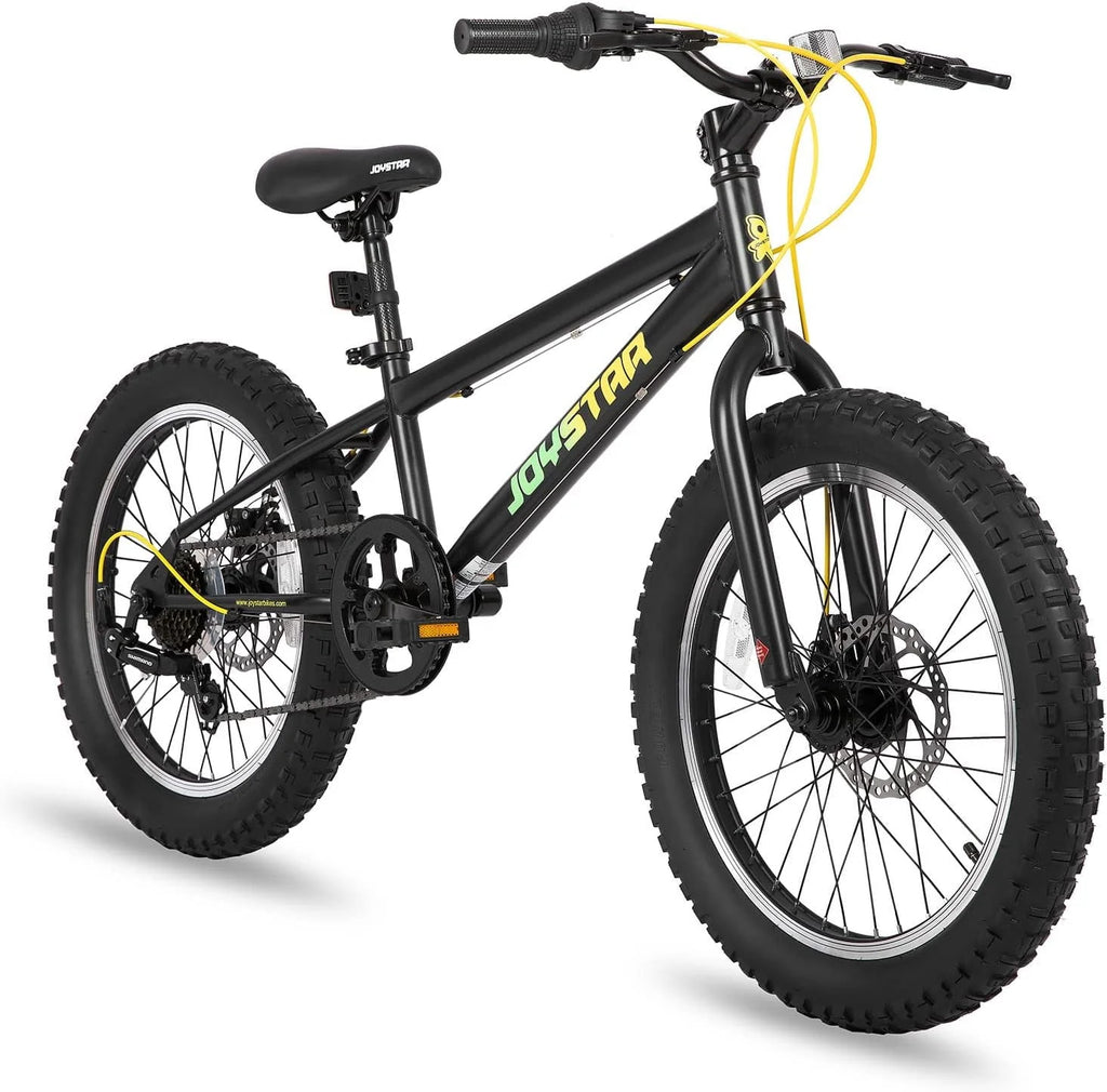 20 Inch 7 Speed Disc Brakes Fat Tire Kids Mountain Bike V35907