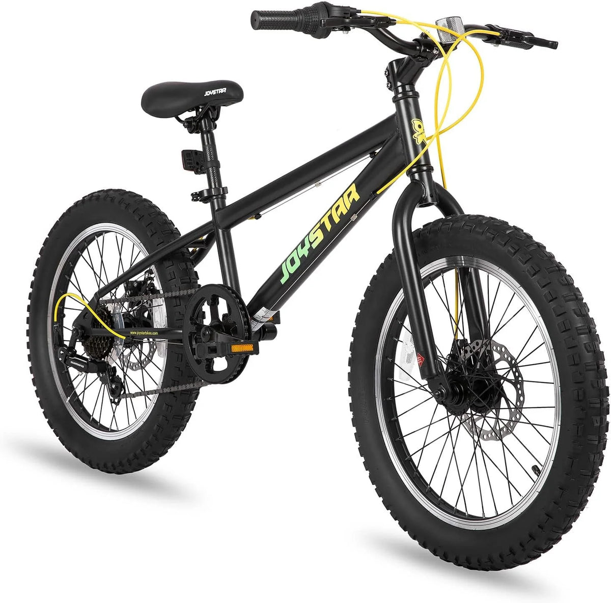 20 Inch 7 Speed Disc Brakes Fat Tire Kids Mountain Bike V35907