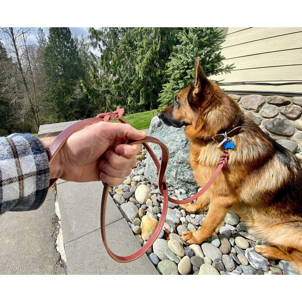 6 FT Braided Leather Dog Leash G174385