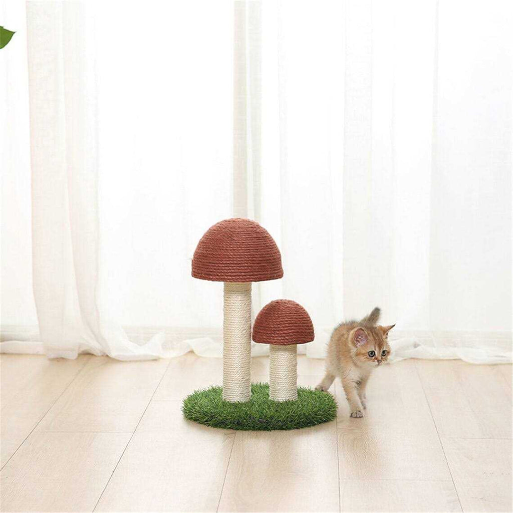 Mushroom Cat Scratcher O927