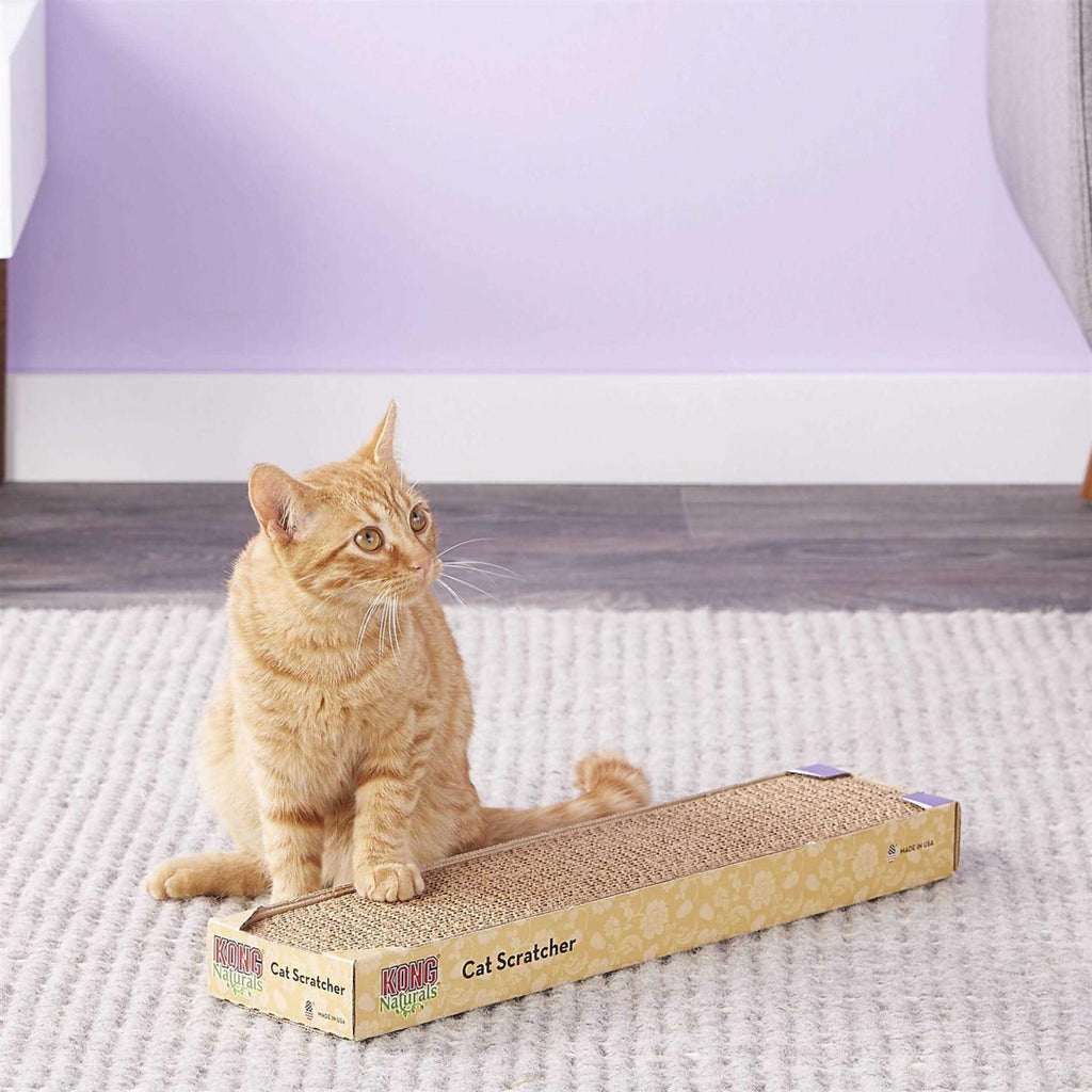 Scratcher Refill Y67822