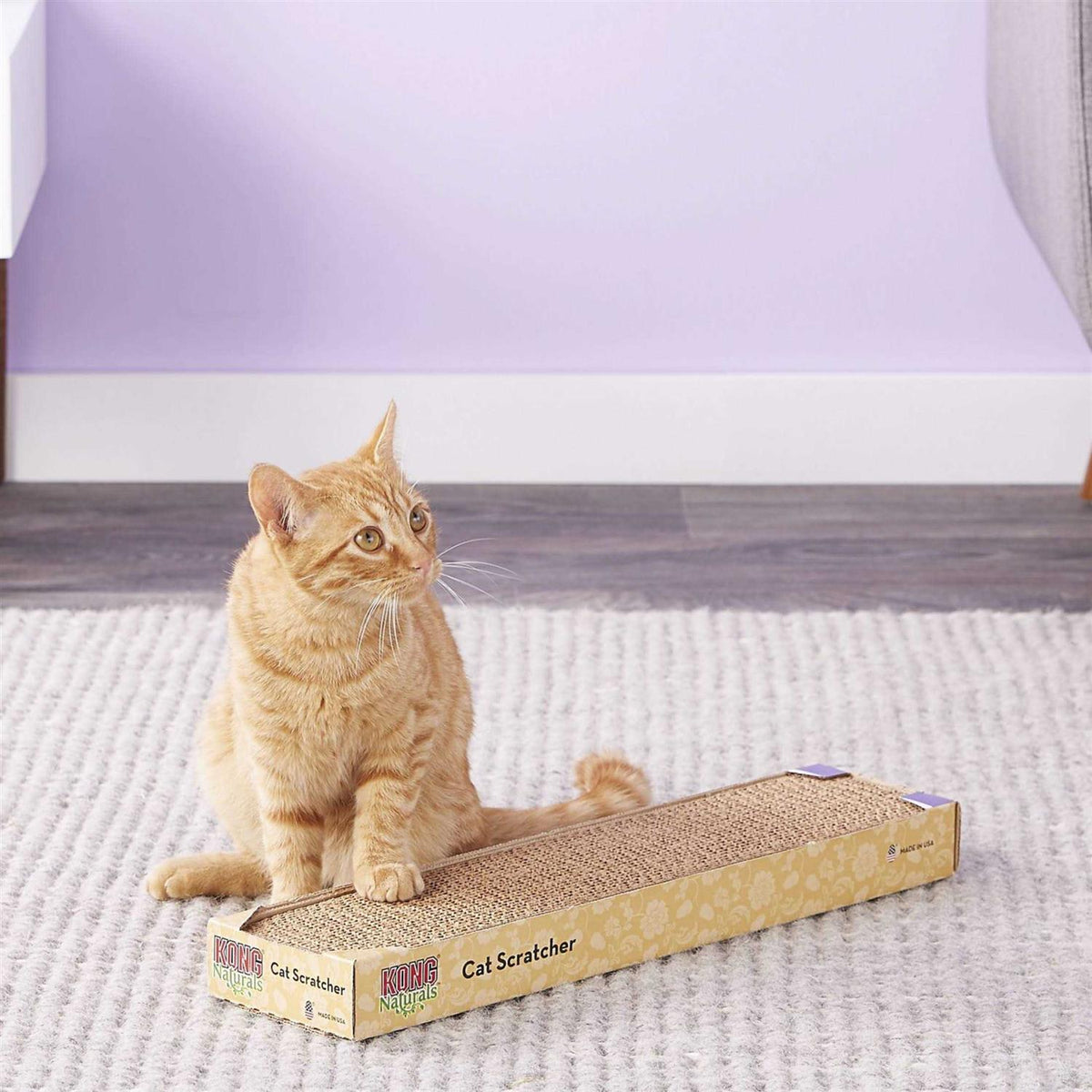 Scratcher Refill Y67822