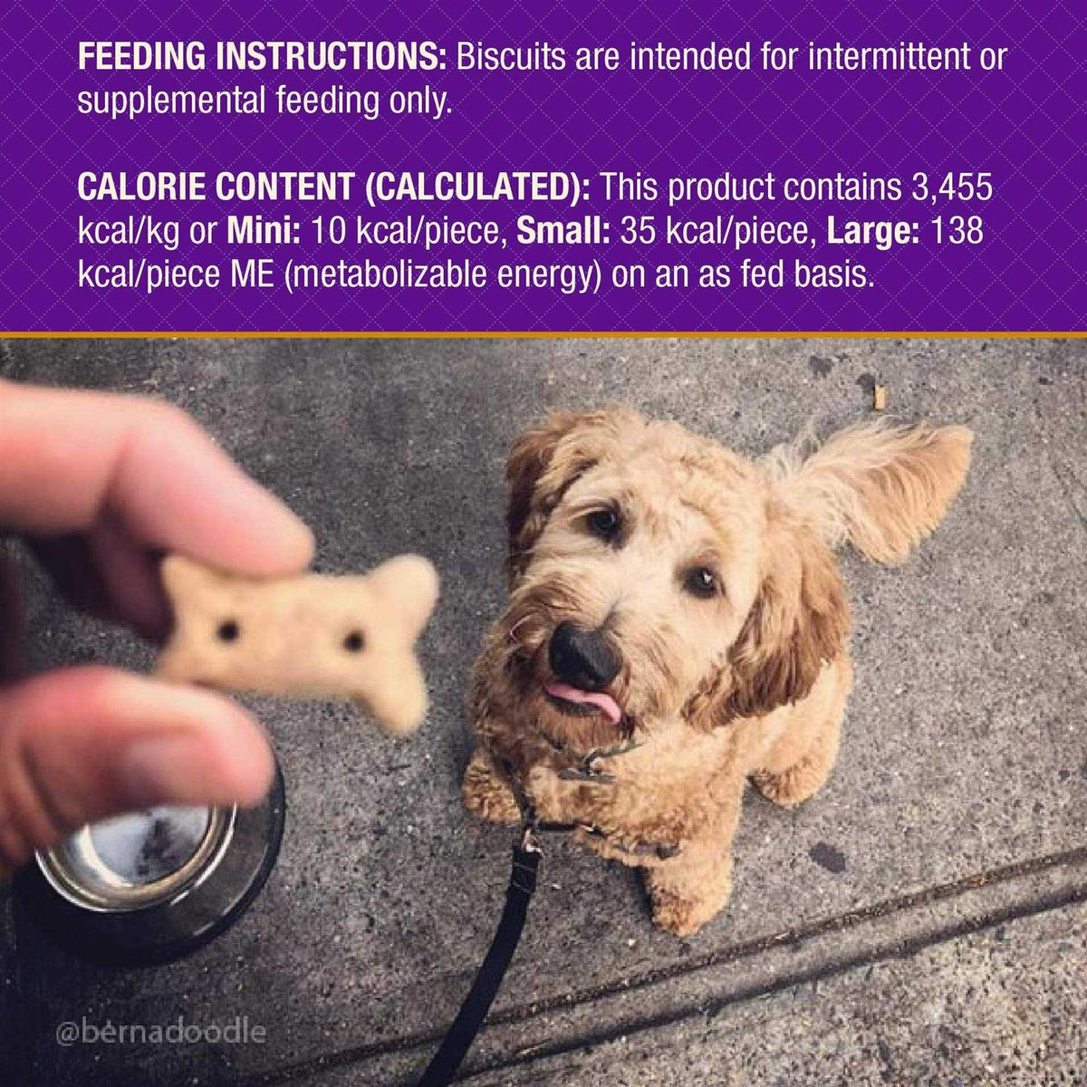 Baked Dog Treats A126279