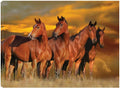 32x24 Canvas Art L169