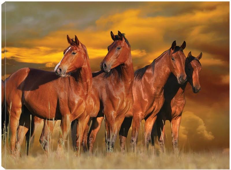 32x24 Canvas Art L169