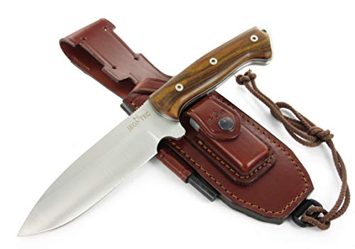 Fixed Blade Full Tang 11" MOVA Stainless Steel Knife with Sheath L66766