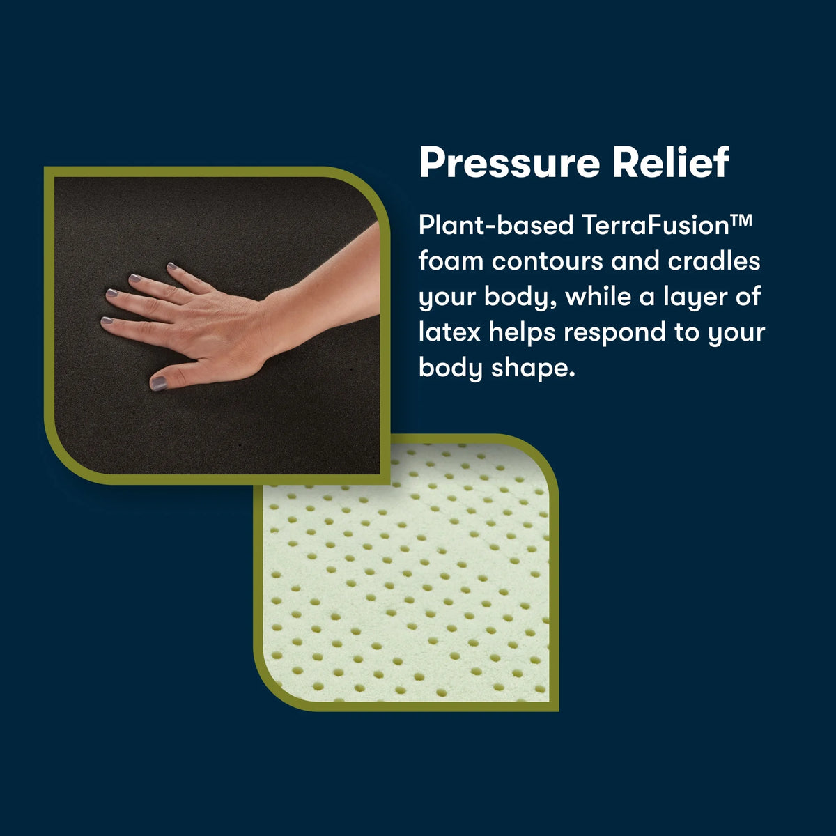 14.25 Memory Foam Plush Mattress T848660