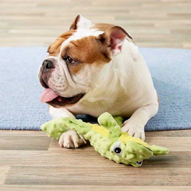 Dog Toy N6240