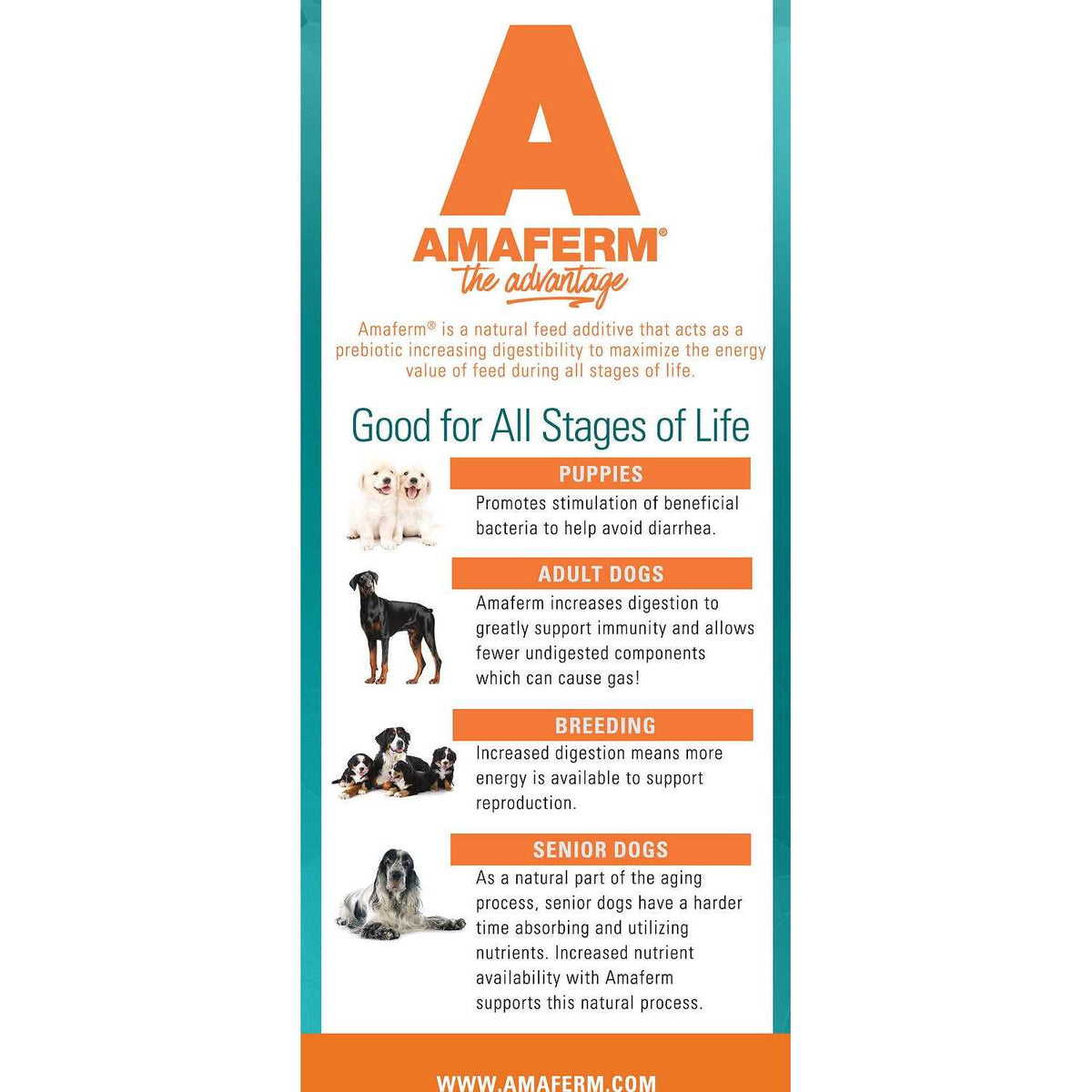 Dog Food A6600