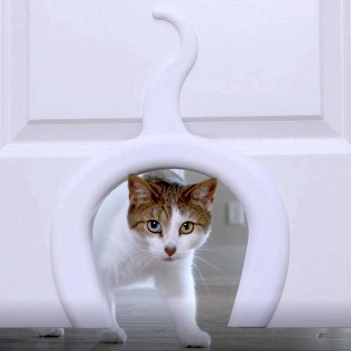 Cat Door for Interior Doors U63187