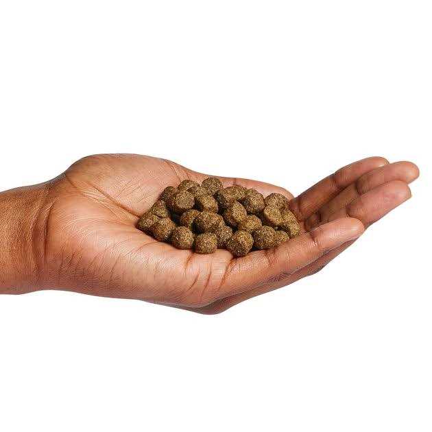 Dog Food A6600