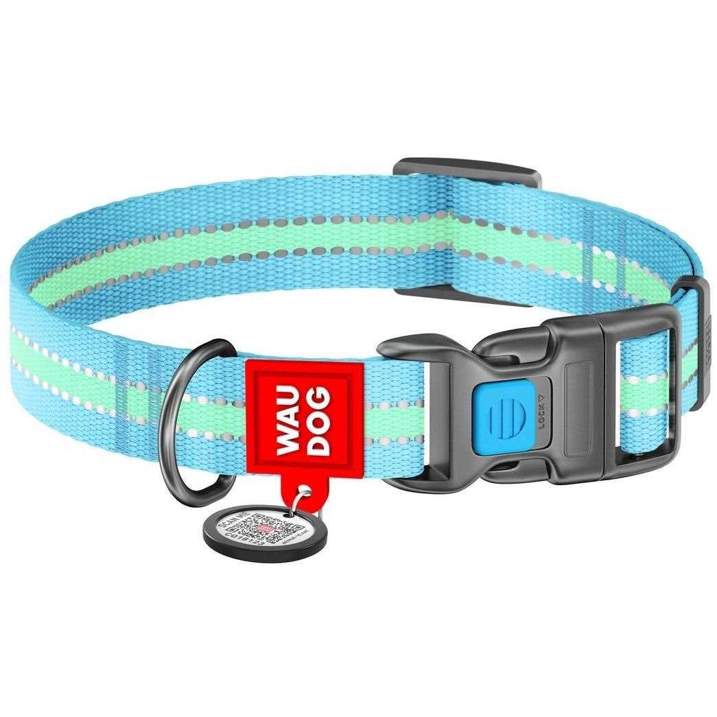 Glow in the Dark Nylon Dog Collar Blue O914586