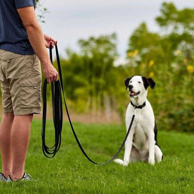 Training Leash Z8383