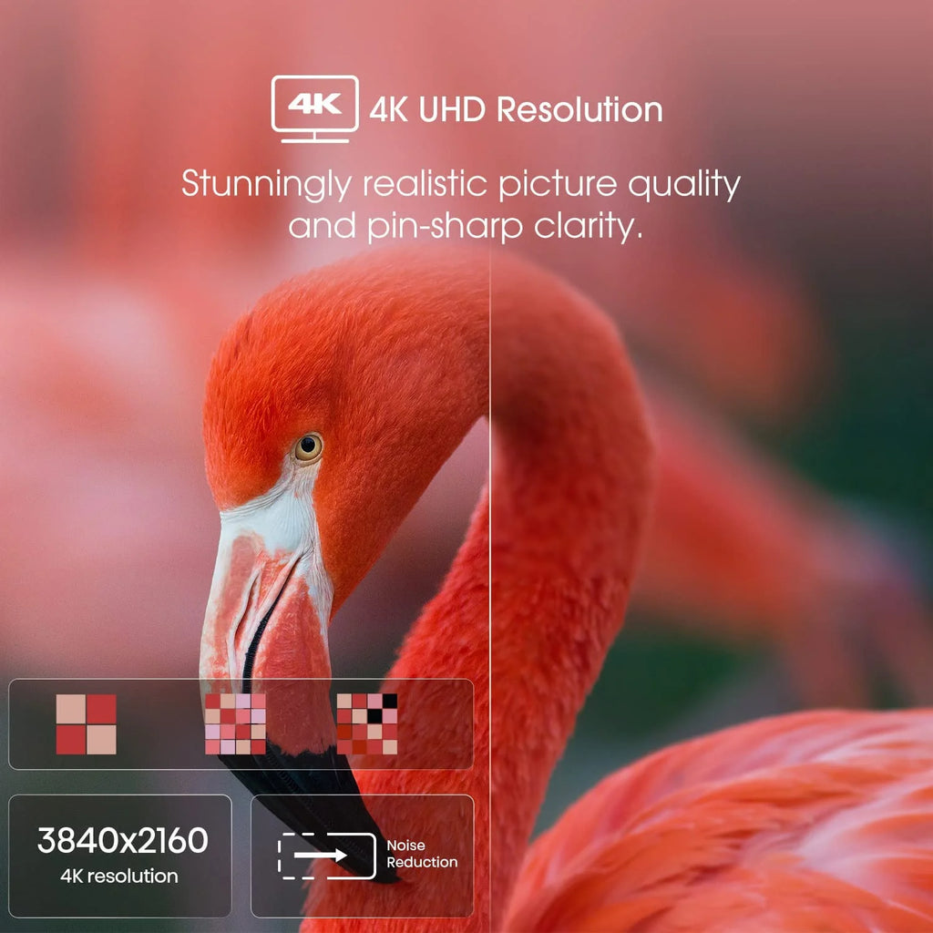 43-Inch 4K UHD Google Smart TV W6244