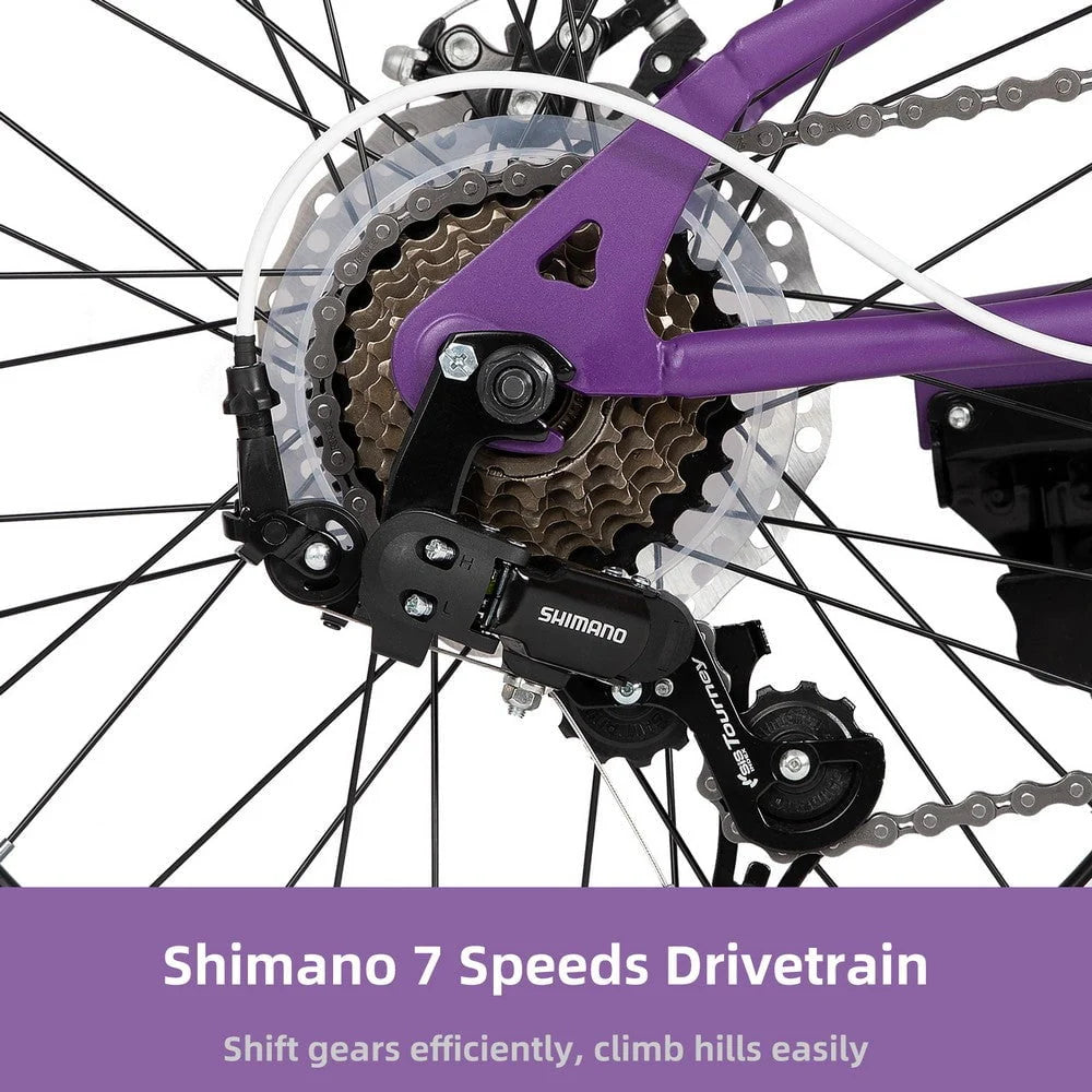 20 Inch 7 Speed Disc Brakes Fat Tire Kids Mountain Bike V35907
