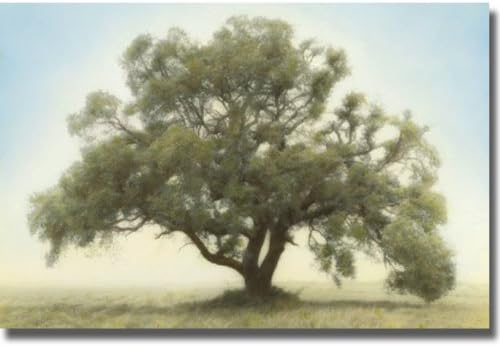 Oak & Blue Sky Stretched Canvas I849558