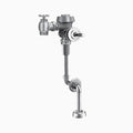 Royal Manual Flushometer F536113