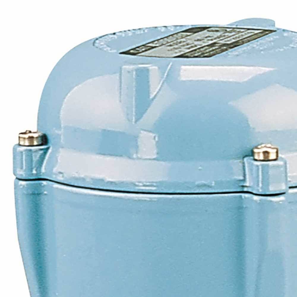 170 GPH Permanently Lubricated Pump T256382