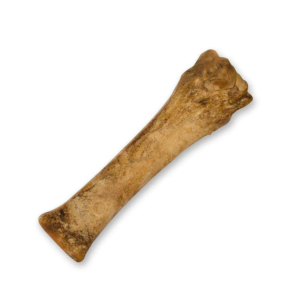 Healthy Edibles Dog Bone J287