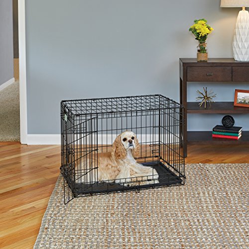 36-Inch Folding Dog Crate with Double Door E921465