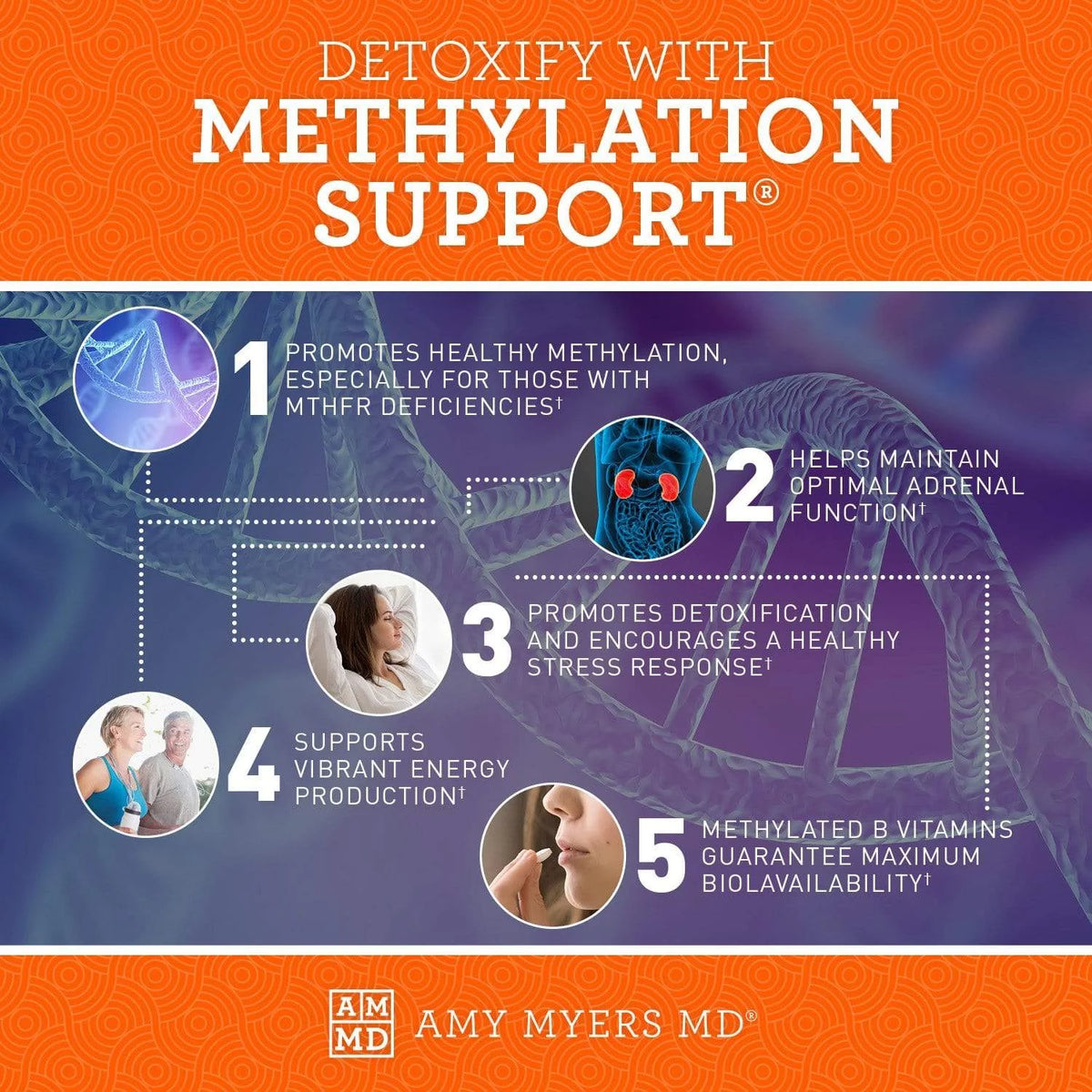 120 capsules Methylation Support Supplement with Folate and Vitamin B12 U6625