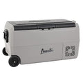 Portable Refrigerator and Freezer with 36 Liter Capacity D162179