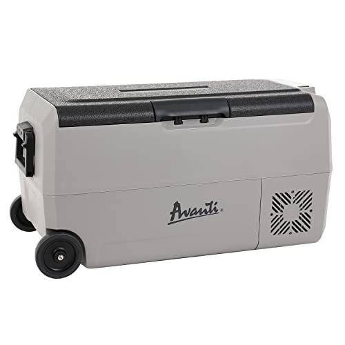 Portable Refrigerator and Freezer with 36 Liter Capacity D162179