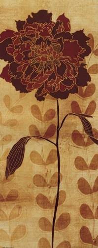 Canvas C897062