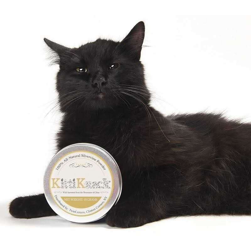 Organic Silvervine Catnip Powder W469352
