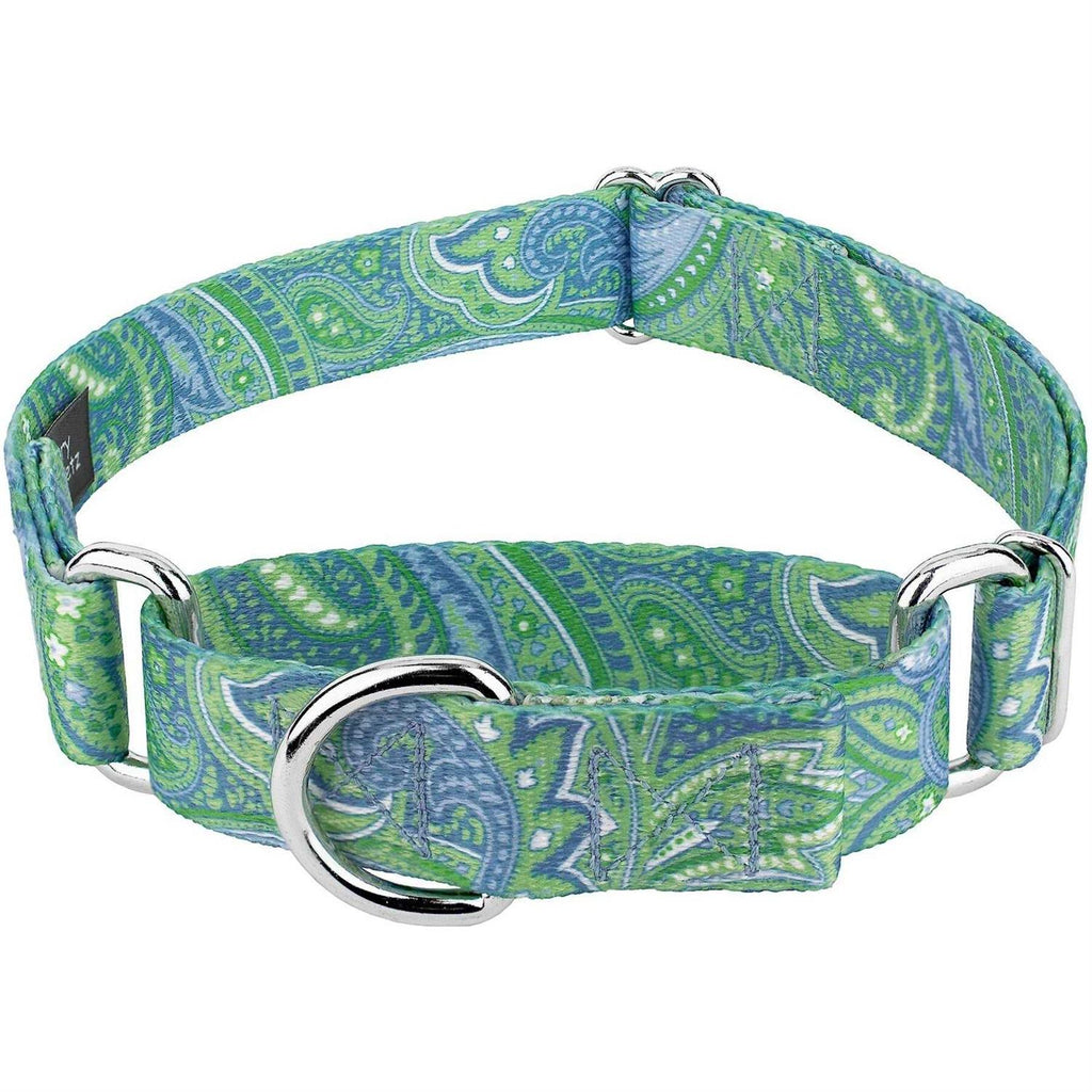 Martingale Dog Collar R76495