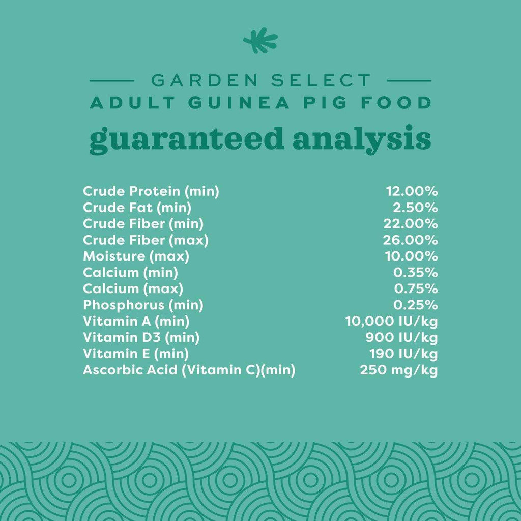 Adult Guinea Pig Food H68311