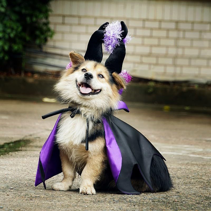 Pet Vampire Costume with Bat Wing Cape and Witch Hat K73978