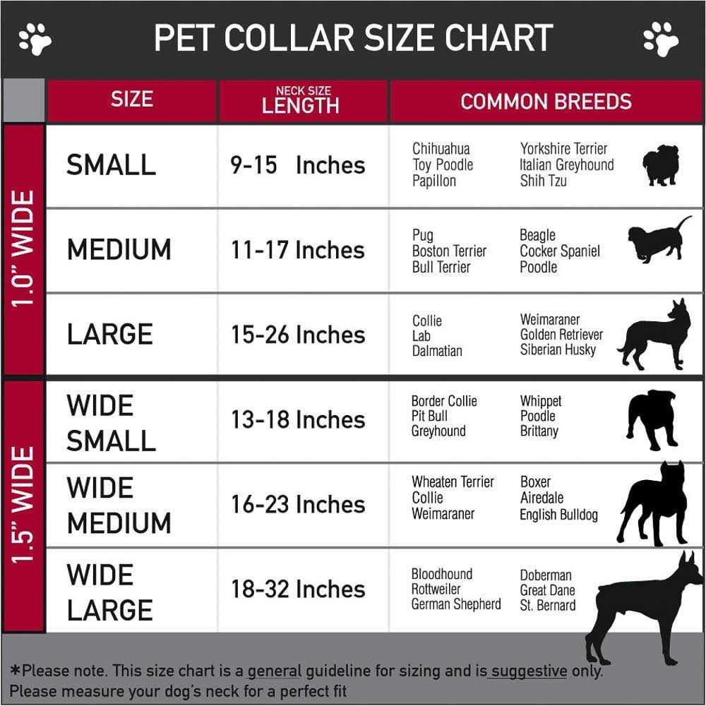 Dog Collar G739