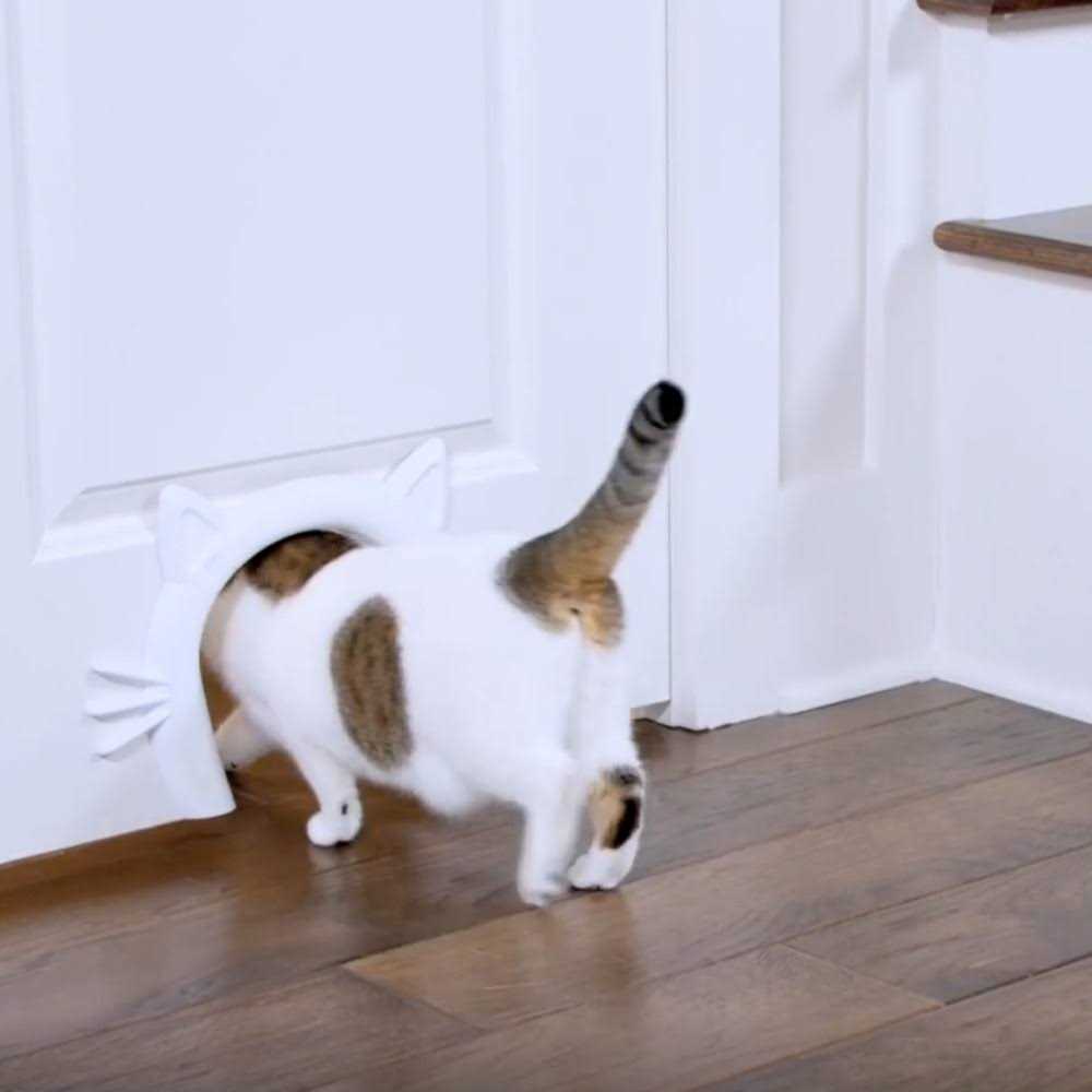 Cat Door for Interior Doors U63187
