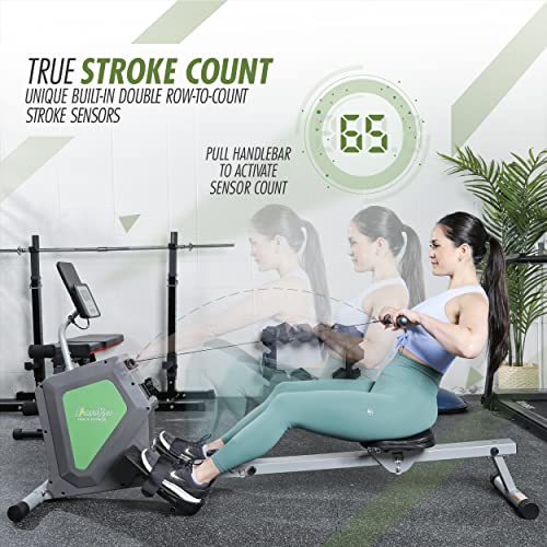 Compact Foldable Magnetic Rowing Machine O913036