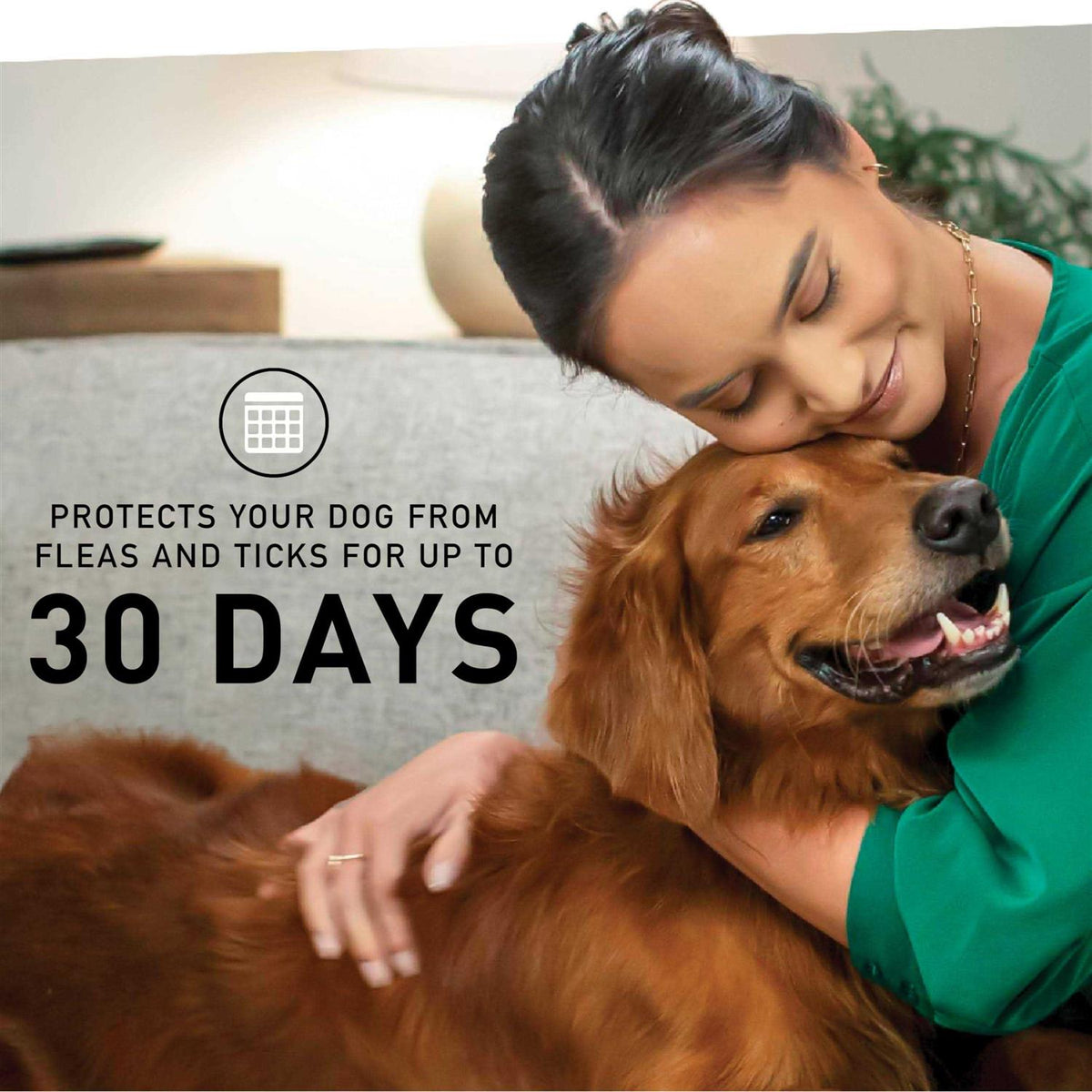 Flea & Tick Topical Treatment for Large Dogs A6341