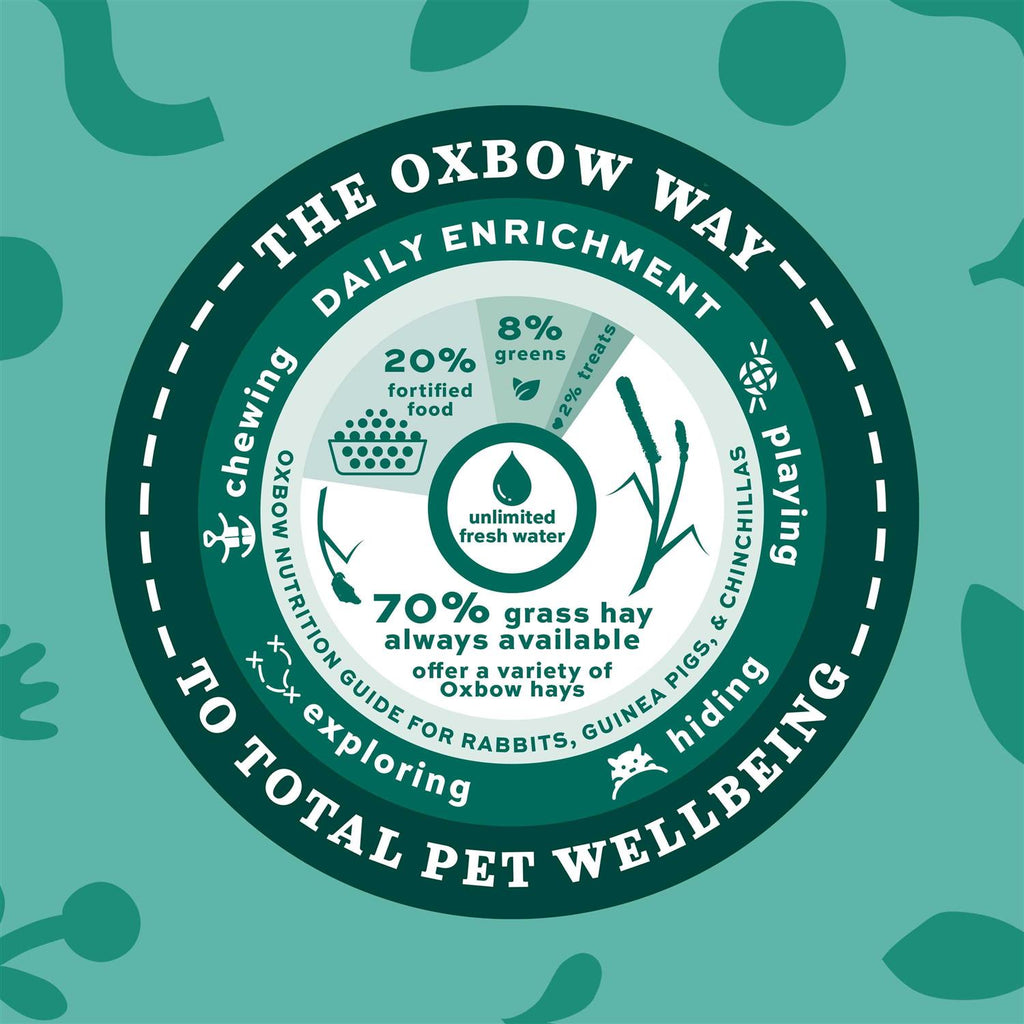 Adult Guinea Pig Food H68311