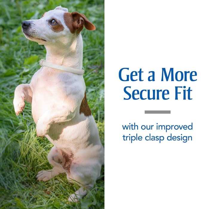 Flea & Tick Collar for Dogs D922