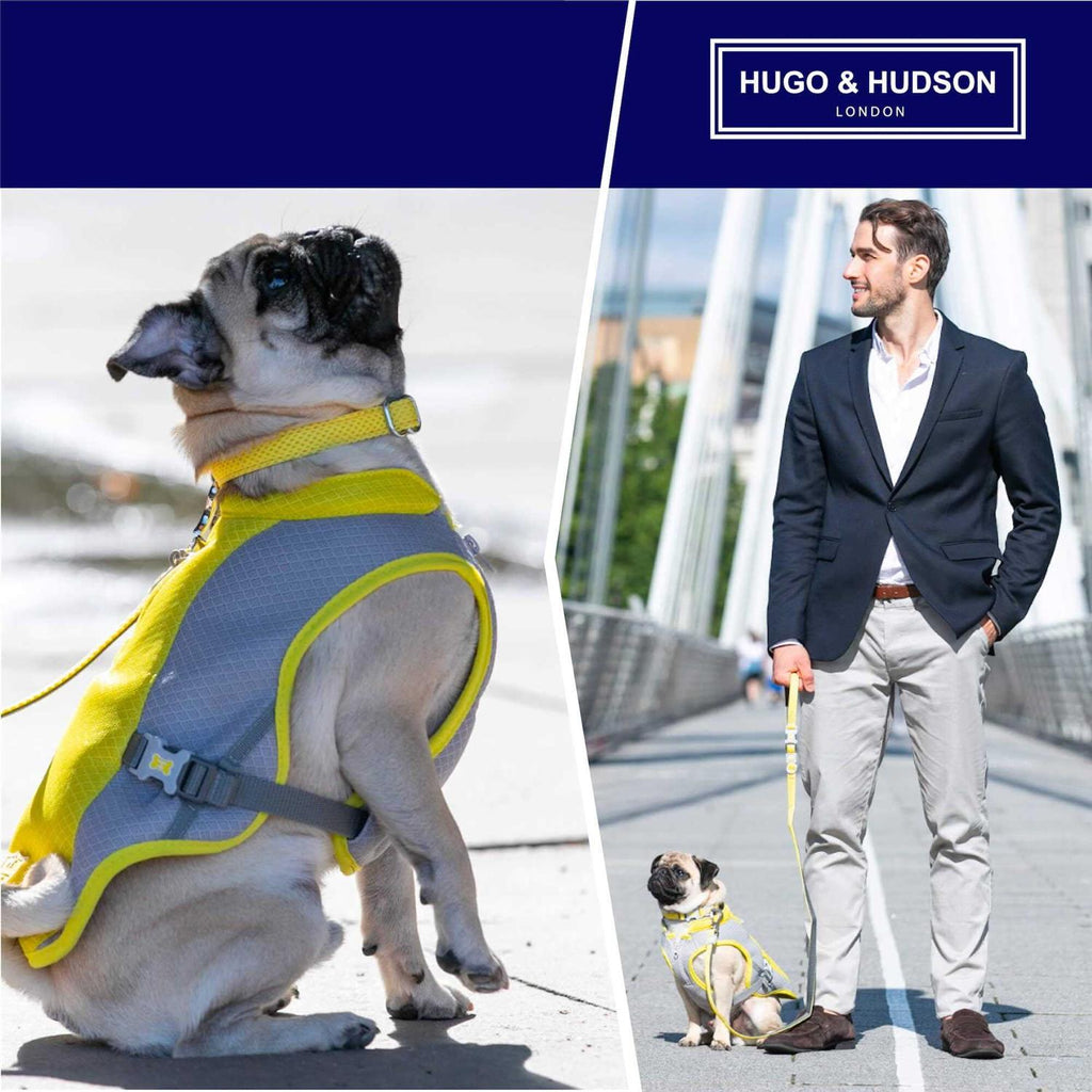Mesh Dog Collar M706